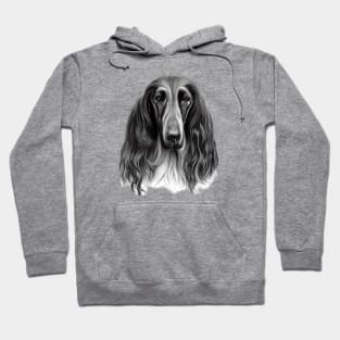 Afghan Hound Dog Hoodie